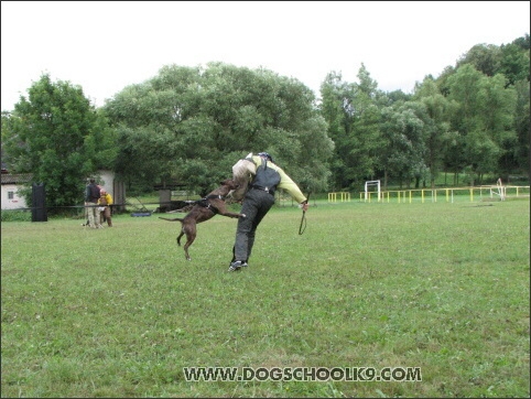 Training camp - Lukova 2007